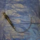 Olympus CYF-5 Flexible Cystoscope 1